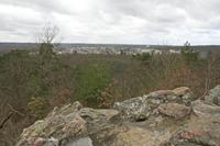 Cjp_2010_03_31_091334 (1).jpg